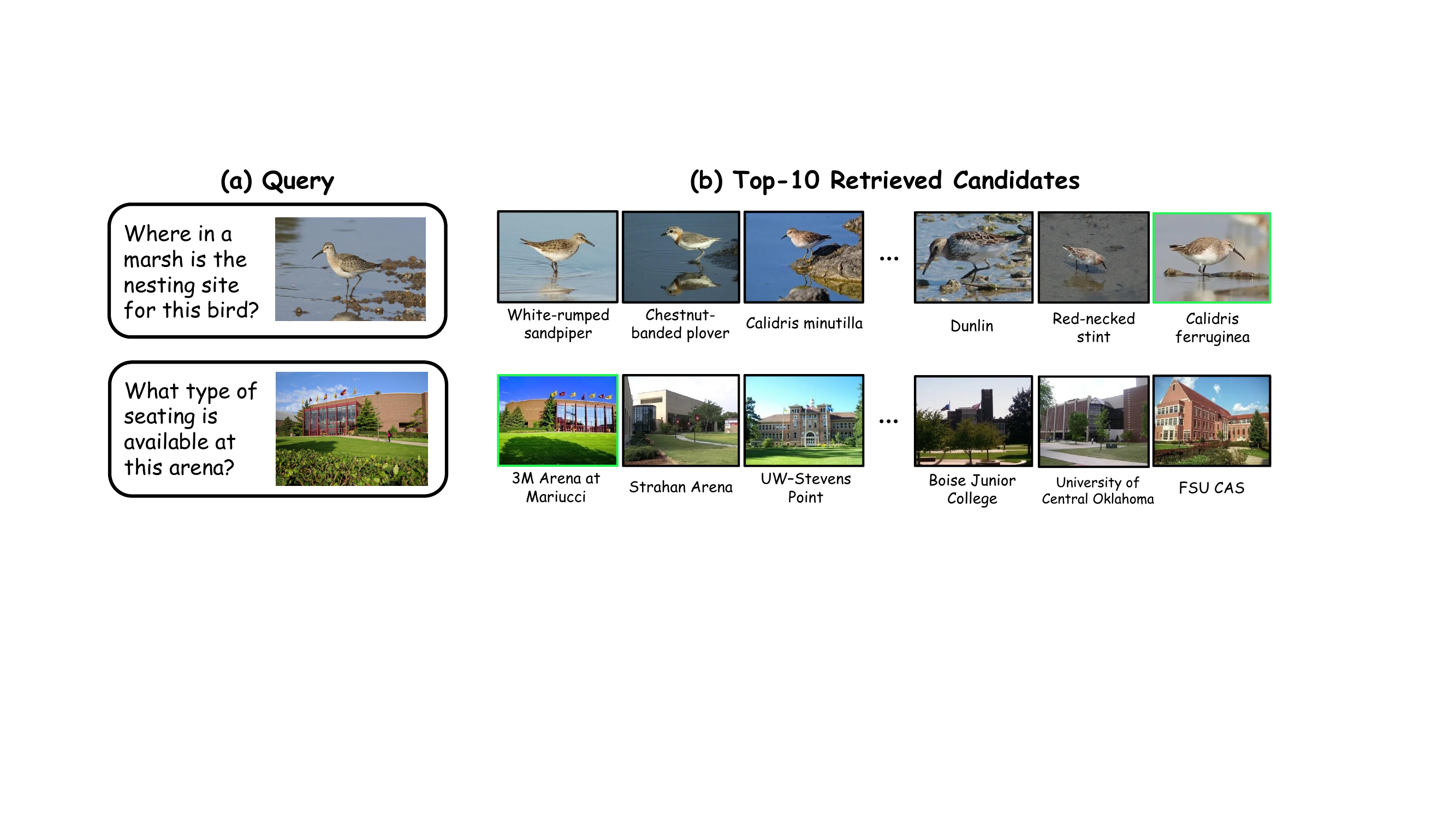 Image-search retrieval examples showing rank variation.