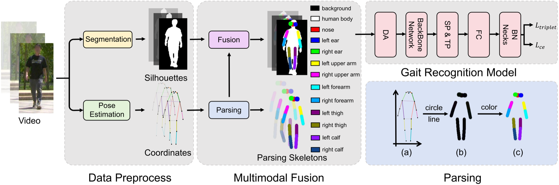 Overview of the PSGait parsing-skeleton representation